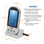 Digital insertion cooking / kitchen thermometer and for barbeque, gray color, model TG01